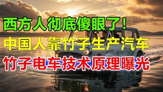 全球首发！中国人用竹子当新能源造车，10000吨竹子可续航789万公里，电池从固态电池升级为竹子电池，美国人看了都摇头：中国的技术已经超越人类的认知！#问界#问界m7#问界m9#华为问界#华为汽车