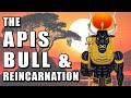 The Apis Bull, Kemetic Reincarnation, and Conservation of Energy