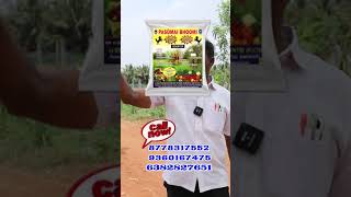 பூம் பூம் பூஸ்டர் அவசியம் || Boom Boom Booster is essential #shortvideo #shorts #676