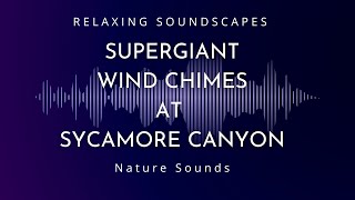 Supergiant Wind Chimes at Sycamore Canyon