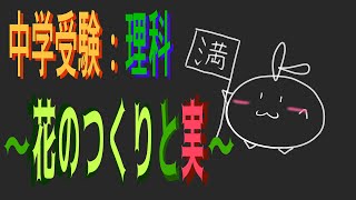 【中学受験】ー花のつくりと実、おまけ偽果ー【理科】