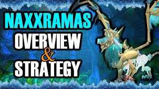 Naxxramas Overview \u0026 Strategy Discussion | Classic WoW