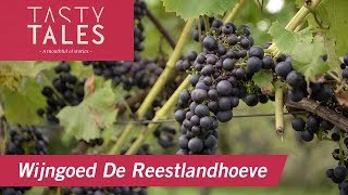 WIJNGOED DE REESTLANDHOEVE (Balkbrug) • Classical music for better wine production • Tasty Tales