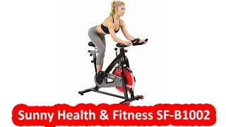 Sunny Health & Fitness SF-B1002 - Best Indoor Cycling Bike Under $300