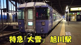 旭川駅の特急「大雪」　Limited Express \