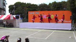 静岡英和学院大学 2009年度 楓祭　忍絆桜欄