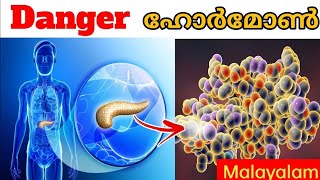 🚫ഇത് ശരീരത്തിൽ കൂടിയാൽ അപകടം| Insulin Good Or Bad | High Blood Sugar | Grit #grit #insulinresistance