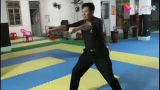 Yongtai 永泰 Tiger Respecting Boxing 虎尊拳 - Forms