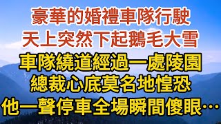 【完結】豪華的婚禮車隊行駛，天上突然下起鵝毛大雪，車隊繞道經過一處陵園，總裁心底莫名地惶恐，他一聲停車全場瞬間傻眼……