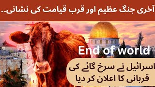 Red Heifer ki Qurbani | Why Israeli sacrifice red cow | Arrival of Dajjal | Lal bachda in Israel