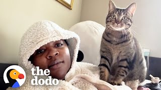 Meet The World's Clingiest Cat | The Dodo