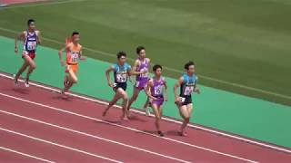 男800m 決  全国高校福岡予選