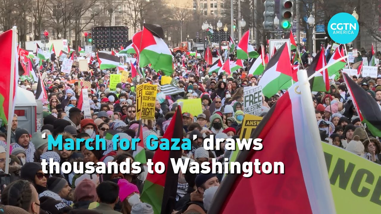 'March For Gaza' Draws Thousands To Washington - YouTube