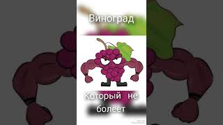 Устойчивый к болезням виноград.