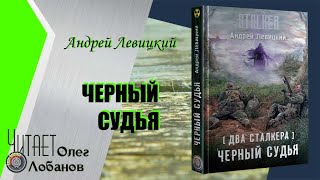 Андрей Левицкий. Черный Судья.  Серия S.T.A.L.K.E.R.  Цикл Два сталкера.