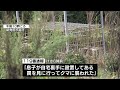 【クマ被害】わなにかかった子グマを見に行き　別のクマに襲われる　４０代の男性が重傷 　顔や背中を引っかかれる《新潟》