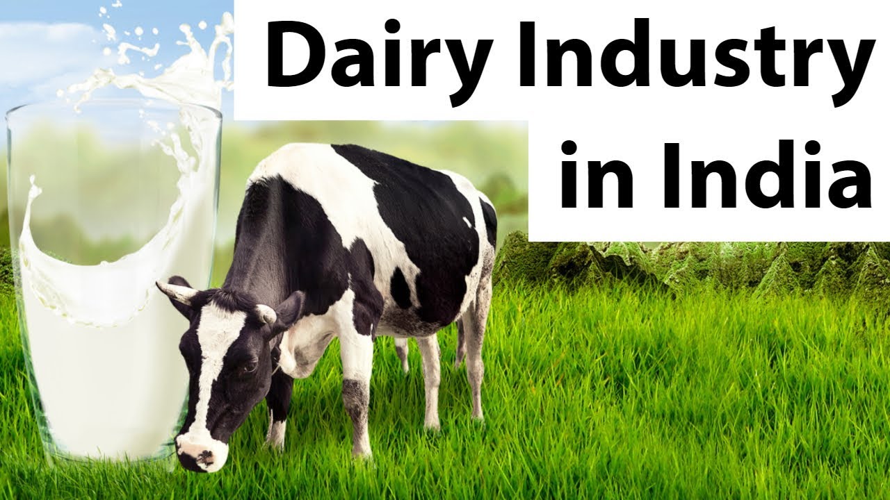 The Dairy Industry Of India