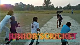 cricket training by girl with exercise and yoga #cricket