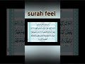 surah feel || surah fil || #surahfeel #islamic #quran