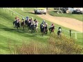 2014 RSA Chase - O'Faolains Boy - Racing TV