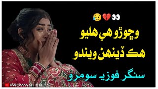 Vichoro he hlyo hik dhehen vendo || singer fozia soomro