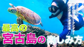 【Vlog】浦島太郎になりました