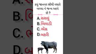 કયું જાનવર સૌથી વધારે બચ્ચા ને જન્મ આપે છે ? || general knowledge || gk in gujrati