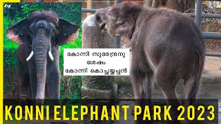 Konni Elephant Park 2023 | Cute Baby Elephant 🐘 കൊച്ചയ്യപ്പൻ #anakeralam #elephants Ep#1