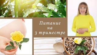 Питание на 3 триместре | О чем не всегда рассказывают беременным