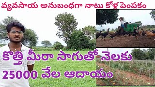 Best koththi mira and tomato crop in telugu- agriculture relative country kolla pempakam in telugu