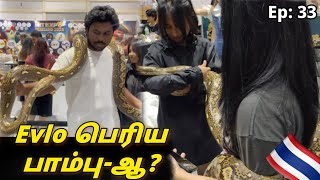 இவ்லோ பெரிய பாம்பு-ஆ | Pets Expo Thailand 2024 | Ep:33 - Tamil Vlog