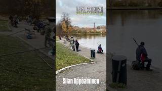 Siian lippoaminen - Vanhankaupunginkosken suvanto #vesitilanne 28.10.2024 #kalastus