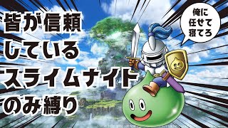 【DQ5】スライムナイト縛り！！ピエールだけでいいってこと？07　#ドラクエ5 #縦型配信