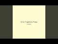 Echo Fragments Pulse