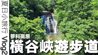 夏日小旅行Vlog2｜絕景瀑布：蓼科高原橫谷峽遊步道｜寶藏餐廳 ：陶仙房須栗平