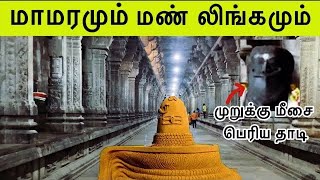 Sivan kovil | காஞ்சி ஏகாம்பரநாதர் கோவில் | 😱 3500 ஆண்டு பழைய மாமரம் இங்க இருக்கு | 1000 pillars