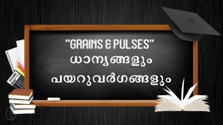 GRAINS \u0026 PULSES | ധാന്യങ്ങളും പയറുവർഗങ്ങളും | Learn Malayalam