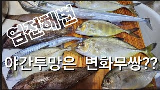 바다투망:염전해변에 밤투망은 변화무쌍????#상촌이장,#줄전갱이,#노랑전갱이,#동갈치,줄벤자리돔,#감섬돔,#참게,황어,#모쟁이,