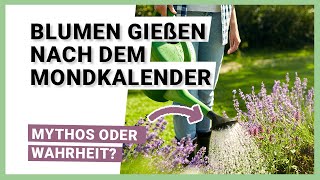 Blumen gießen nach dem Mondkalender - Ist tatsächlich was dran?