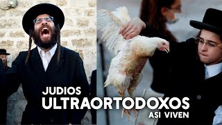 JUDIOS ULTRA ORTODOXOS. Así viven. Su cultura, el machismo, y otros detalles que no conocías.