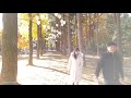 4k welcome to nami island full tour walking around seoul korea 남이섬의 가을 南怡島