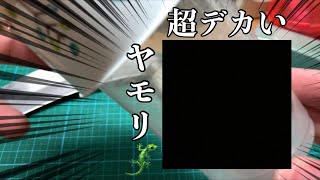 【閲覧注意】部屋に巨大なヤモリが出た