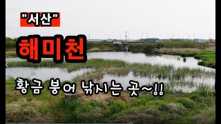 [서산]_ 해미천 / 황금 붕어가 낚이는 곳 / 충남 서산시 해미면 전천리