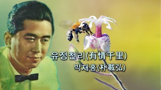 박재홍朴載弘   유정천리有情千里(가사제공)