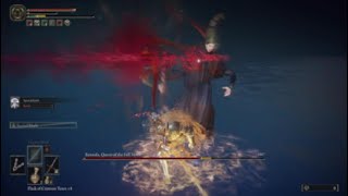 Renela Queen of the Full Moon Boss Fight with Confessor