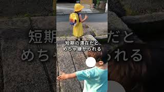 一時帰国で日本の幼稚園。しんどいのは‥