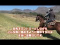 【外乗乗馬】超お薦めの場所「ココペリウェスタンライディング」での外乗風景最終章vol 3。