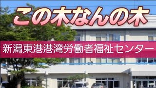 【東港】新潟東港港湾労働者福祉センター