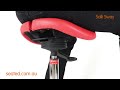 salli sway saddle