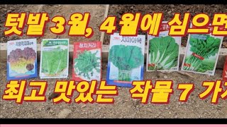 텃밭 3월과 4월에 심으면 최고 맛있는 작물 7가지(7 Best Crops to Plant in March and  April)/비료 보관하는 방법